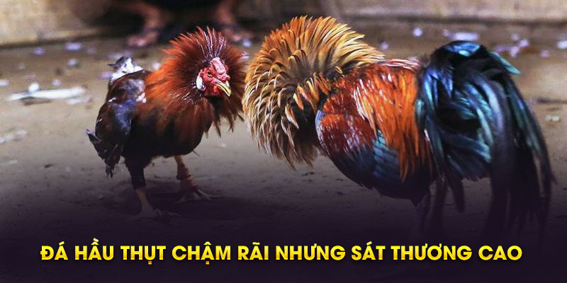 Đá hầu thụt chậm rãi nhưng sát thương cao